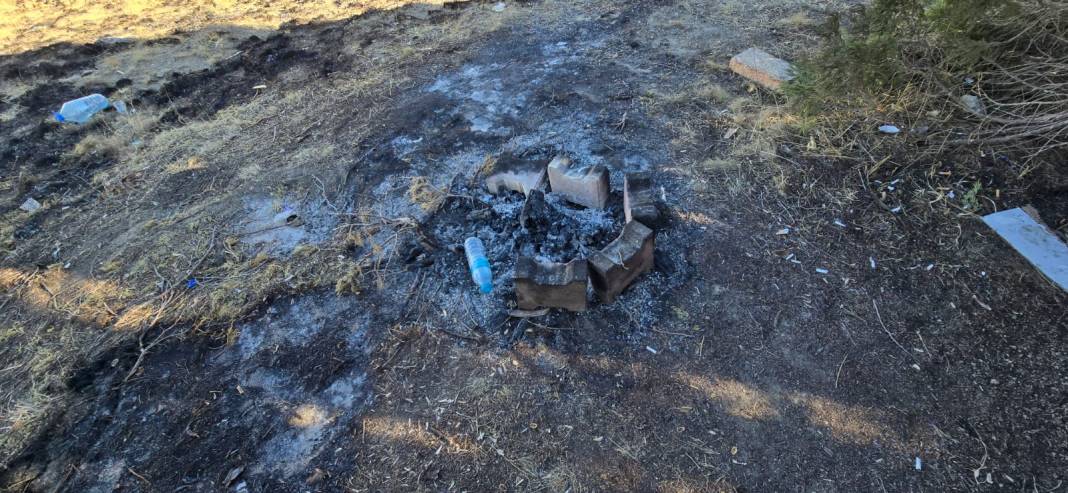 Konya’da piknikçi ateşi ormanı yaktı 8